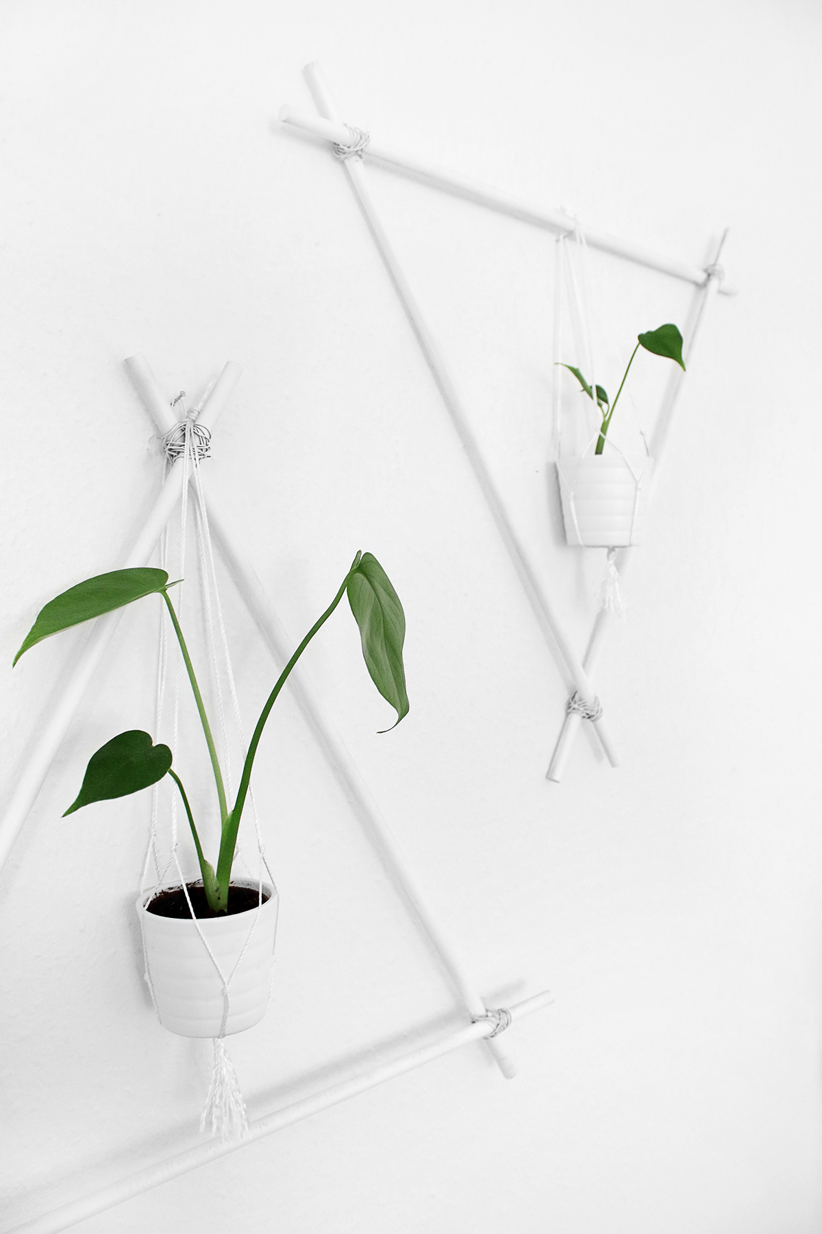 DIY wall decor with plants || Katarina Natalie