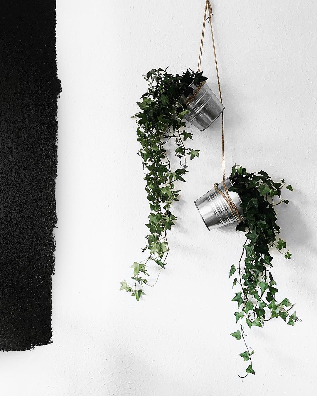 DIY efeu plant hanger