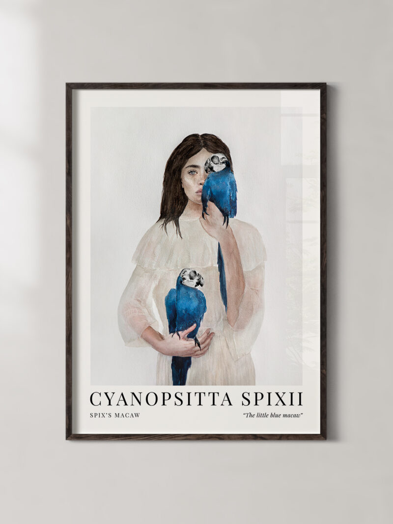 Spix's Macaw